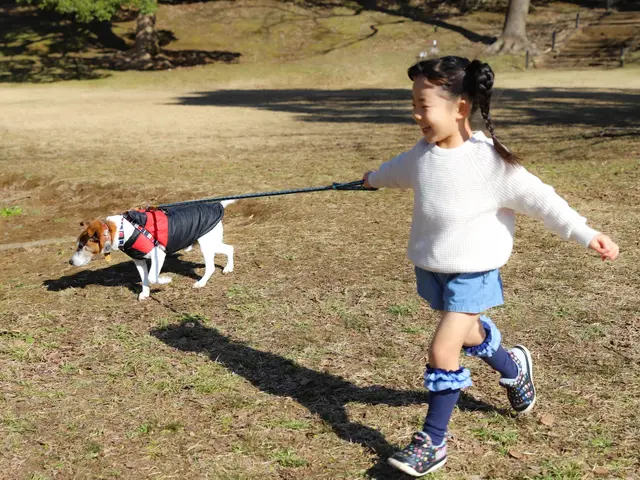 うちの子がいちばん！＾＾営業時間・対応地域外相談可◎サービスの画像