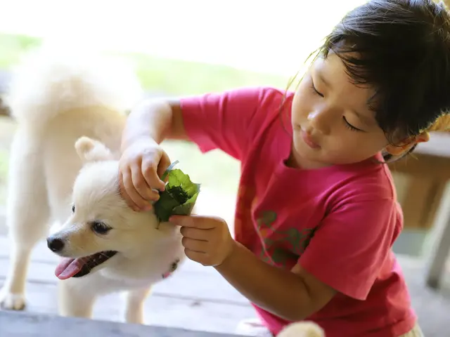 うちの子がいちばん！＾＾営業時間・対応地域外相談可◎サービスの画像