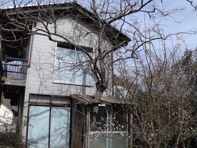 ◆お庭の伐採、抜根をしませんか    お庭がスッキリ気分最高！サービスの画像