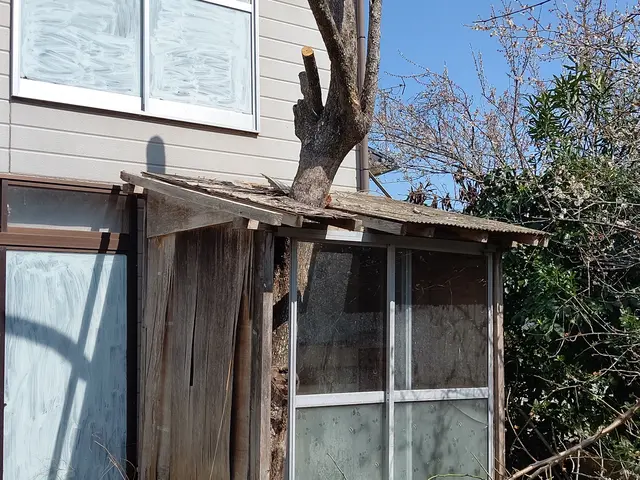 ◆お庭の伐採、抜根をしませんか    お庭がスッキリ気分最高！サービスの画像