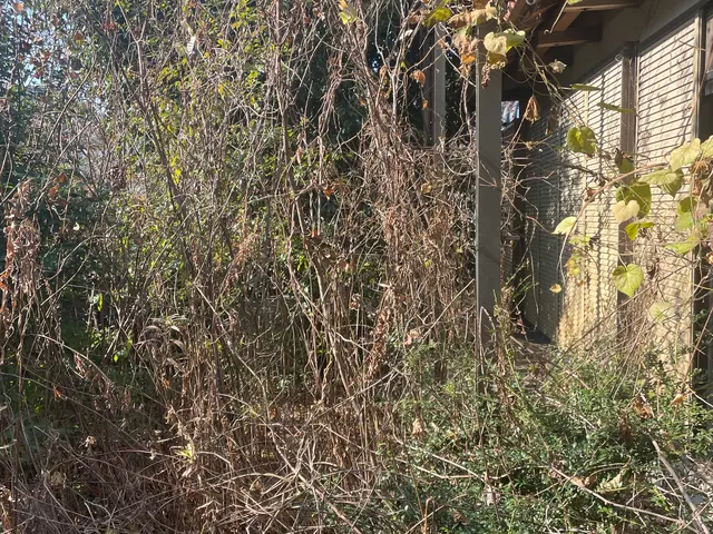 ♫8月より出店開始♫【累計実績件数5000件以上】夏の暑～い草刈りやります！サービスの画像