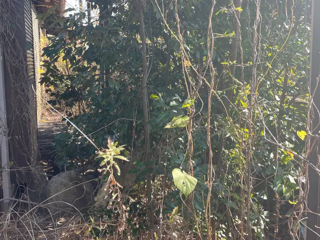 ♫8月より出店開始♫【累計実績件数5000件以上】夏の暑～い草刈りやります！サービスの画像