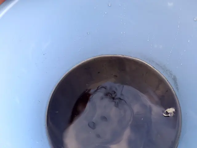 カビの臭いや効きが悪くなった時こそエアコンクリーニングを！猛暑を快適に！サービスの画像