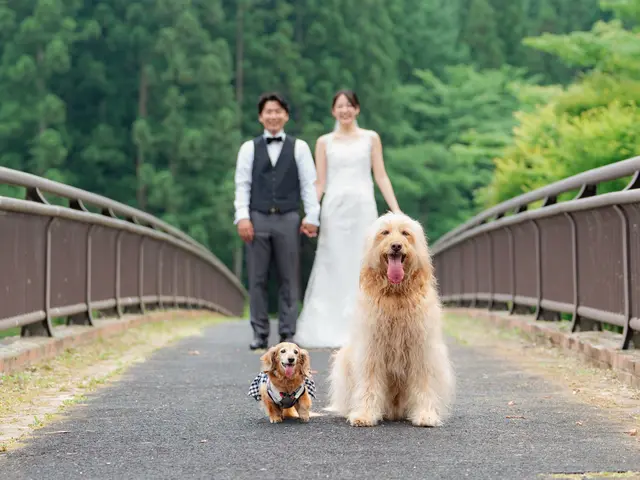 残ラスト1/10組様♪前撮り／後撮り限定︎✿モニタープランサービスの画像