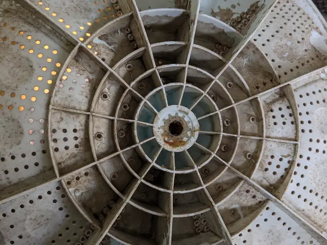 洗濯機（洗濯槽）クリーニング 縦型サービスの画像