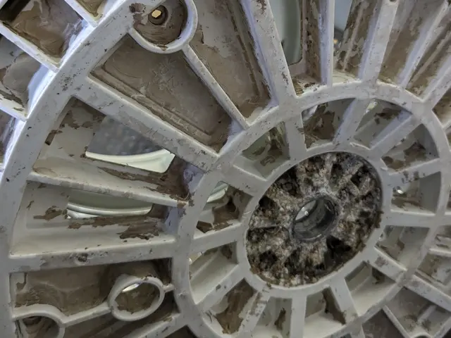 洗濯機（洗濯槽）クリーニング 縦型サービスの画像