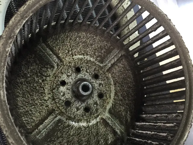 リピート率、満足度で表彰！安心のハウスクリーニング士1級資格！サービスの画像