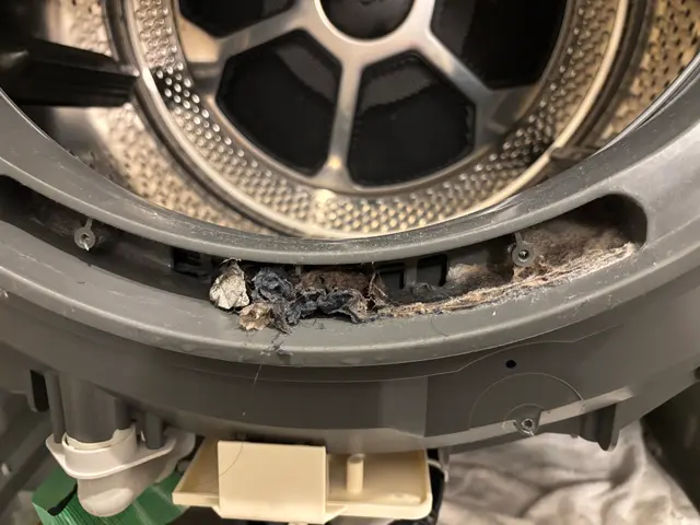 ドラム式洗濯機の内部洗浄専門店！サービスの画像