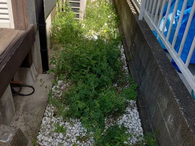 ご要望にお応えします！サービスの画像