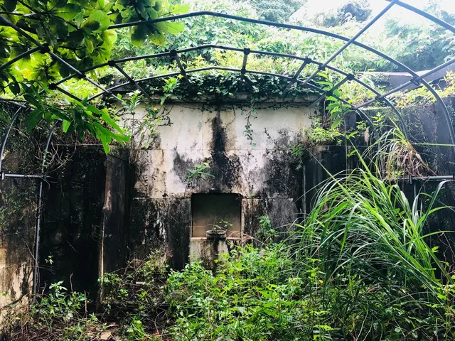 お墓クリーニングは最高の供養、最高の感謝。サービスの画像