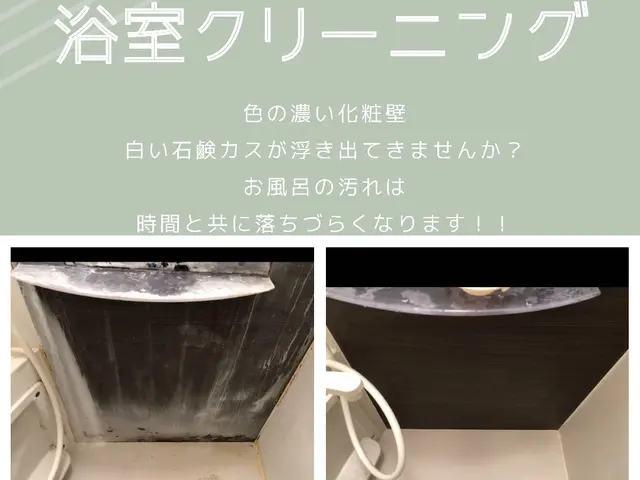 水垢・皮脂汚れをごっそり！【店長がお伺い】【クレカ対応】【非喫煙者】サービスの画像