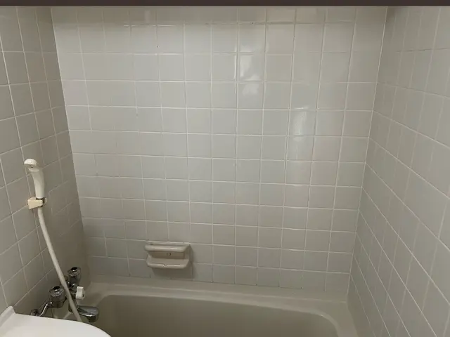 水垢・皮脂汚れをごっそり！【店長がお伺い】【クレカ対応】【非喫煙者】サービスの画像