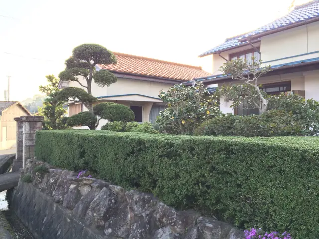 ★職人歴20年の経験と実績★生垣の剪定は国認定の1級造園技能士にお任せ下さい！！サービスの画像