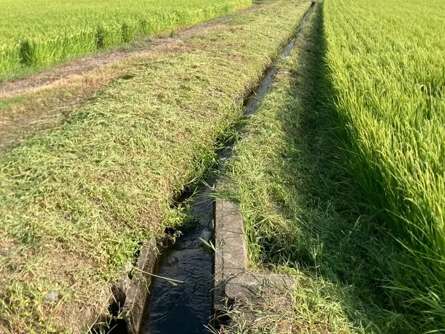 草刈りやります！サービスの画像