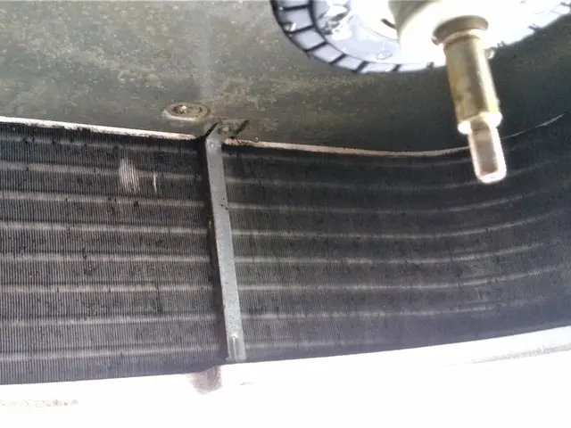 天然植物洗剤「天使の松」使用！フィトンチッドで消臭！サービスの画像