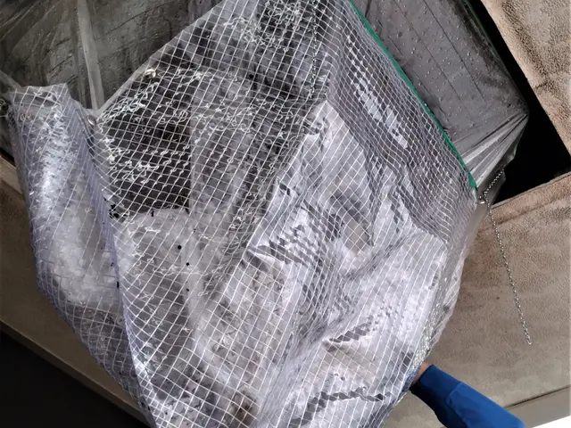 天然植物洗剤「天使の松」使用！フィトンチッドで消臭！サービスの画像