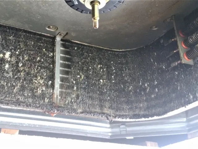 天然植物洗剤「天使の松」使用！フィトンチッドで消臭！サービスの画像