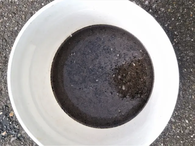 天然植物洗剤「天使の松」使用！フィトンチッドで消臭！サービスの画像