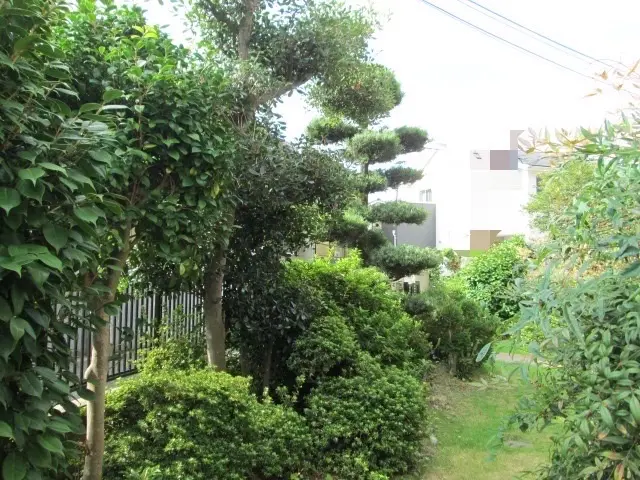 大手仕込みの技術と丁寧な対応致します！荒れたお庭もお任せください！サービスの画像