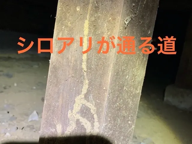 [最短翌日対応]　シロアリ防除施工士による施工◎5年間保証！年1アフター点検サービスの画像