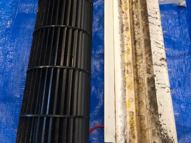 ★壁掛けエアコンの分解除菌洗浄★高温スチーム除菌・防カビコーティング込です★サービスの画像