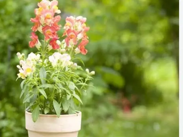 作業外注一切なし◎予約対応～作業完了まで、すべてご対応します！サービスの画像