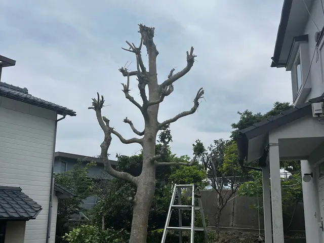 作業外注一切なし◎安心の損害保険加入済み！訪問時の駐車場代は当店が負担！サービスの画像