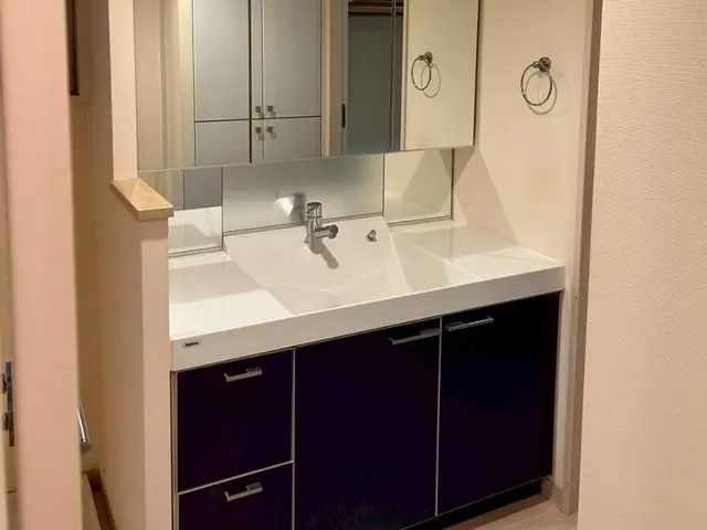 洗面ボウルの黒ずみ・蛇口の水垢など、頑固な汚れを取り除きます！サービスの画像