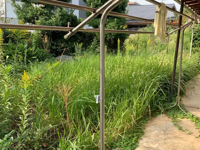 【見積り・相談無料】◆草刈りいたします。サービスの画像