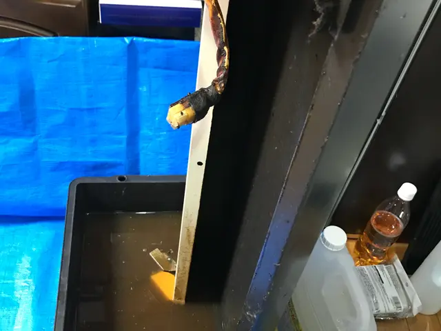 レンジフード（換気扇）クリーニング / レンジフードタイプサービスの画像