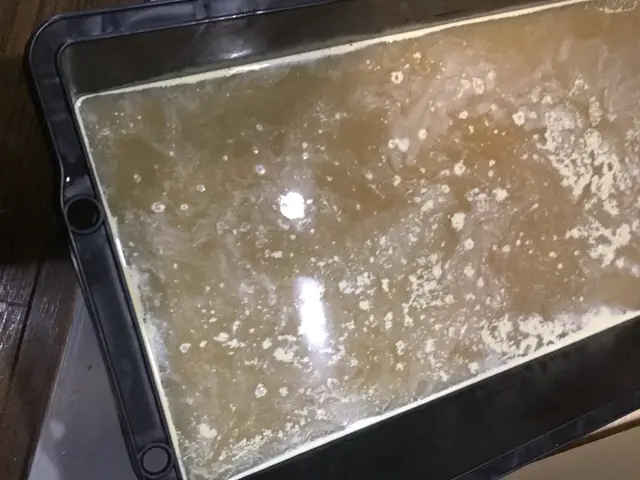 レンジフード（換気扇）クリーニング / レンジフードタイプサービスの画像