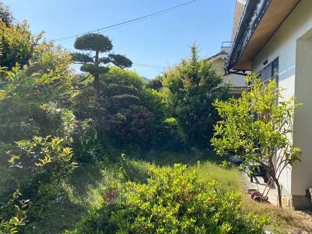 【地域密着店】お庭やお店周りの草刈りはお任せ下さい。丁寧に作業いたします。サービスの画像