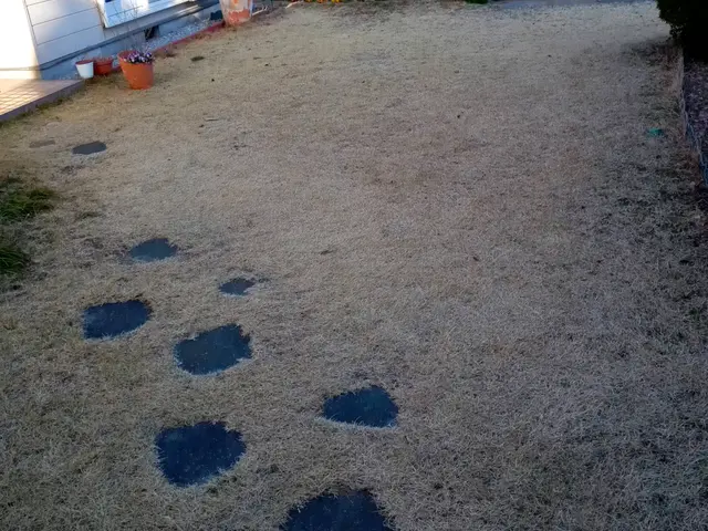 あなたのお庭、綺麗にします。コミュニケーションを第一に、癒しの庭を提案します。サービスの画像