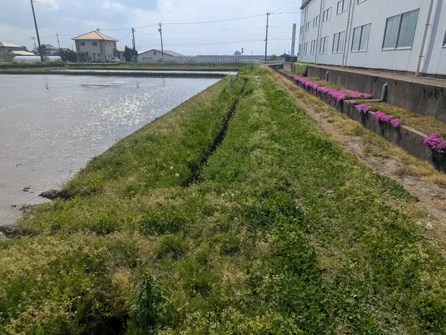 草刈り作業サービスの画像