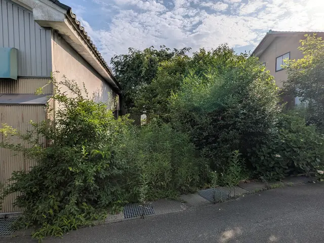 草刈り作業サービスの画像