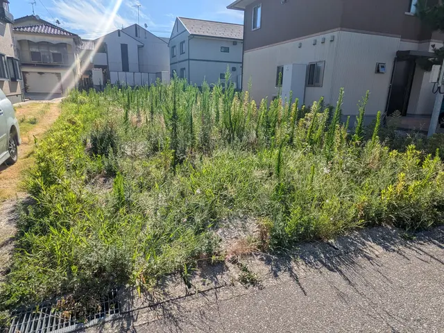 草刈り作業サービスの画像