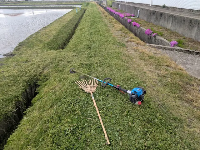 草刈り作業サービスの画像