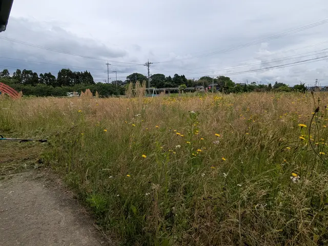 草刈り作業サービスの画像