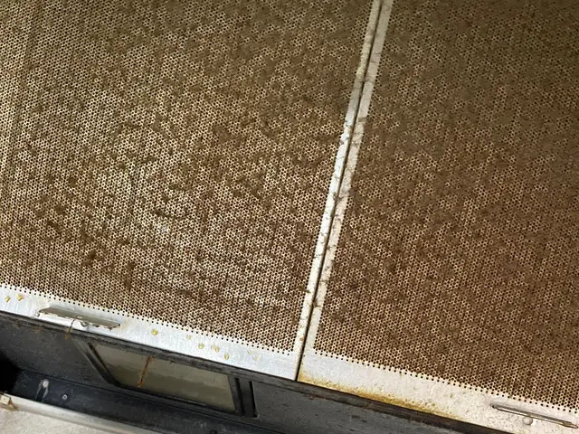 【クレカ・QR決済 OK！】『プロペラ』『フードの内側』丁寧に分解洗浄！サービスの画像