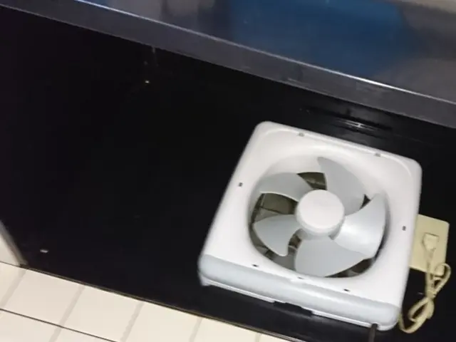 【クレカ・QR決済 OK！】『プロペラ』『フードの内側』丁寧に分解洗浄！サービスの画像