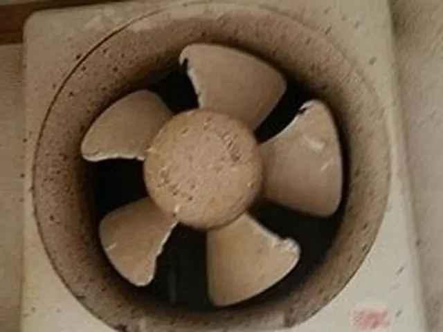 【クレカ・QR決済 OK！】『プロペラ』『フードの内側』丁寧に分解洗浄！サービスの画像