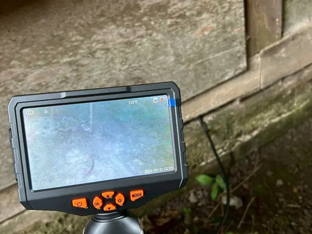 【コウモリ駆除の匠】駆除後も安心のサポートあり◎職人がお伺いします。サービスの画像