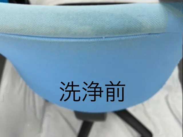 すっきり清潔！経験と知識を活かし迅速丁寧に作業いたします（布・合皮）サービスの画像
