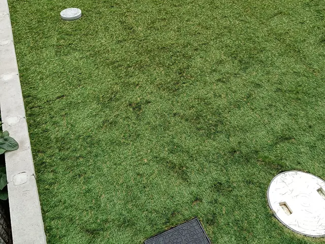 【人工芝施工いたします】雑草対策や、洗濯物を外に干すのもオススメします。サービスの画像