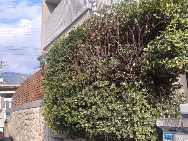 ◆職人歴33年の実績◆1級造園施工管理技士◆1級エクステリアプランナーサービスの画像