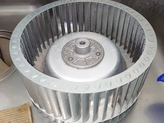 【猫好き★秋田出身25歳】分解洗浄★シンク軽研磨サービス無料★PayPay他サービスの画像