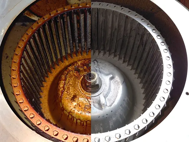 【猫好き★秋田出身25歳】分解洗浄★シンク軽研磨サービス無料★PayPay他サービスの画像