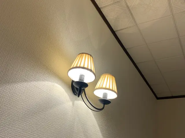 照明・シーリング・取付　シニアの方の味方　LEDも分からないことはお任せ下さいサービスの画像