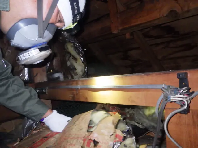 害獣駆除はお任せください！25年の経験と実績で完全解決！【現地調査・見積無料】サービスの画像