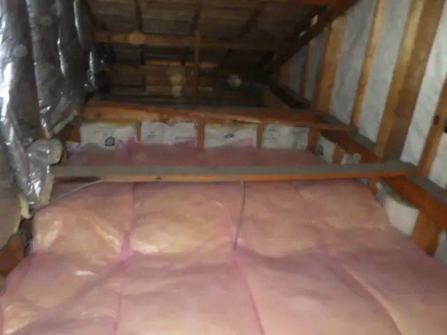 害獣駆除はお任せください！25年の経験と実績で完全解決！【現地調査・見積無料】サービスの画像